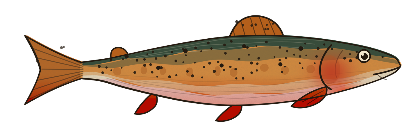 A trout that grows with every retelling